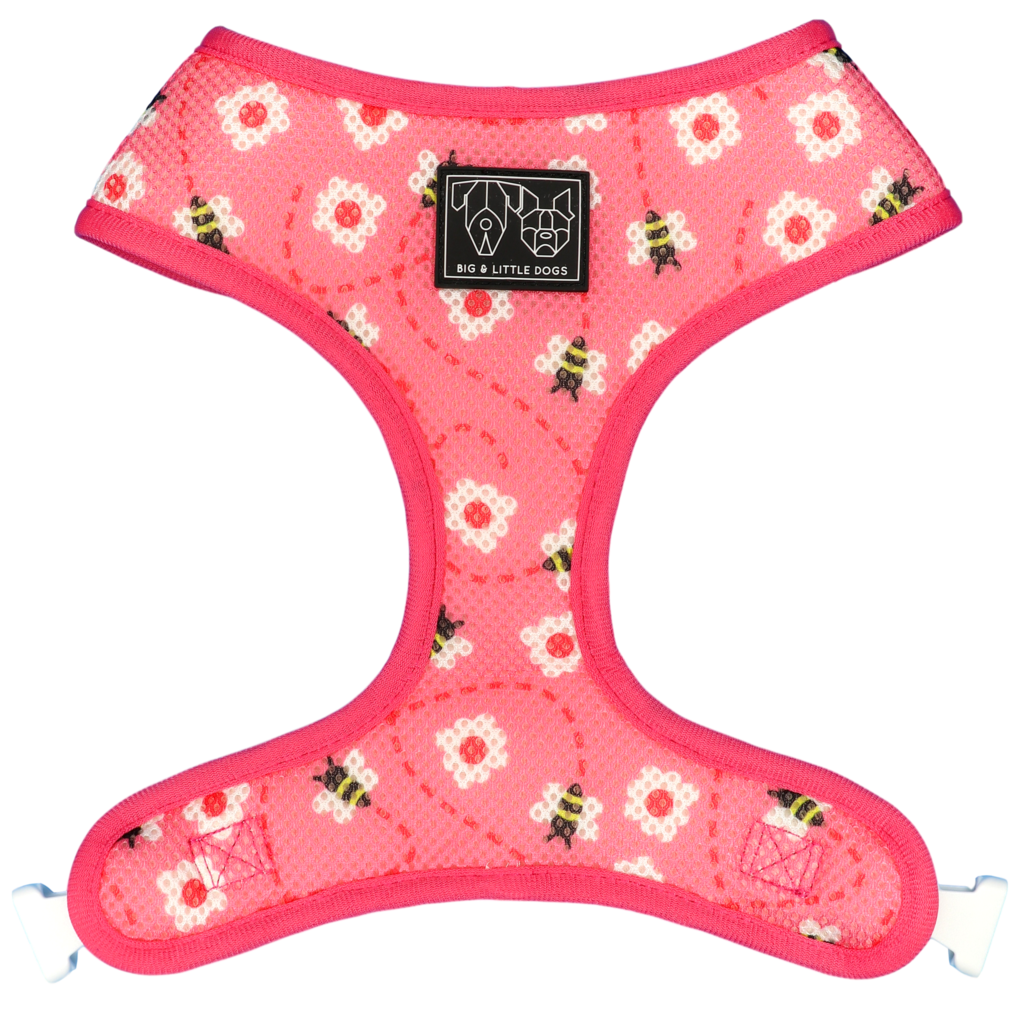 Big and Little Dogs Reversible Pretty as can Bee - Premium hondentuig > honden harnas from Big and Little Dogs - Just €27.99! Shop now at Frenkiezdogshop