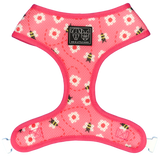 Big and Little Dogs Reversible Pretty as can Bee - Premium hondentuig > honden harnas from Big and Little Dogs - Just €27.99! Shop now at Frenkiezdogshop