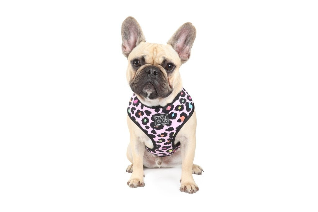 Big and Little Dogs Reversible Spotted Leopard - Premium hondentuig > honden harnas from Big and Little Dogs - Just €27.99! Shop now at Frenkiezdogshop