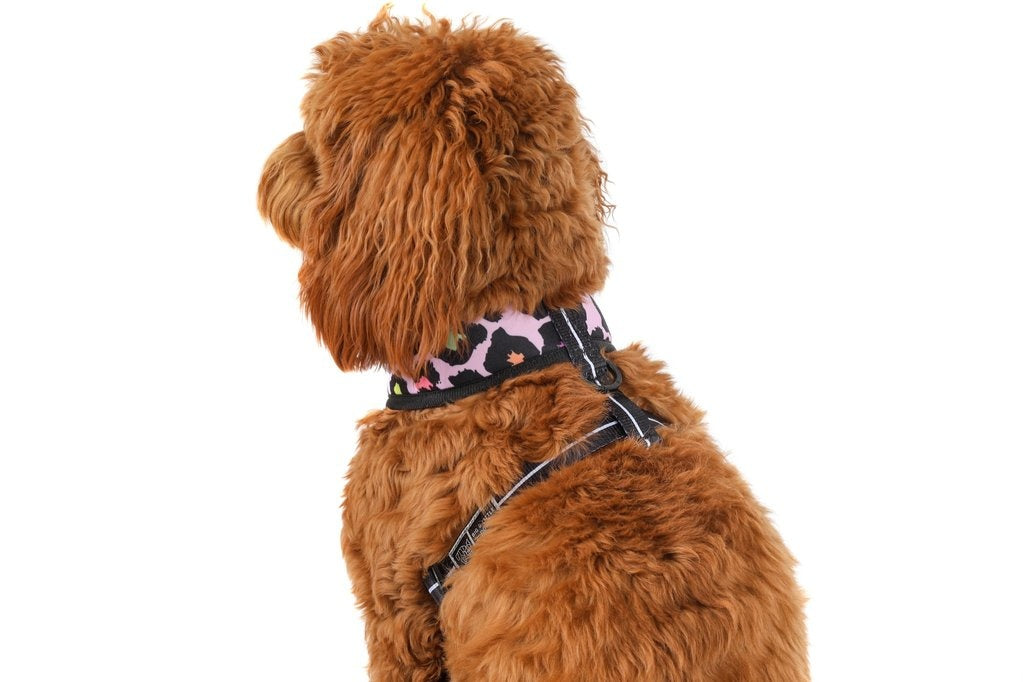 Big and Little Dogs Reversible Spotted Leopard - Premium hondentuig > honden harnas from Big and Little Dogs - Just €27.99! Shop now at Frenkiezdogshop