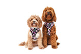 Big and Little Dogs Reversible Spotted Leopard - Premium hondentuig > honden harnas from Big and Little Dogs - Just €27.99! Shop now at Frenkiezdogshop