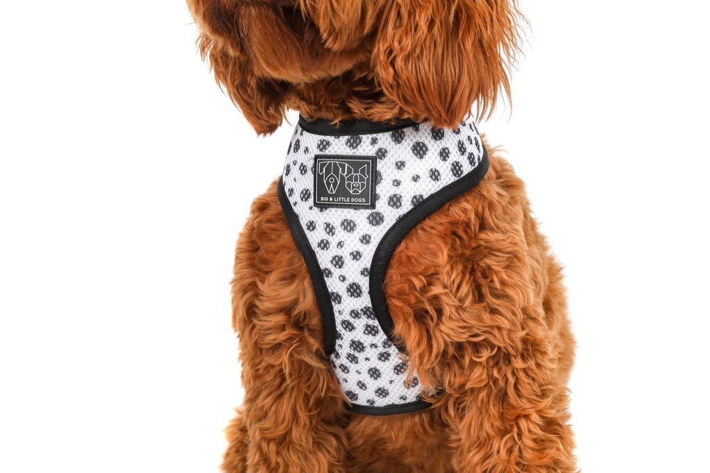 Big and Little Dogs Reversible Spotted Leopard - Premium hondentuig > honden harnas from Big and Little Dogs - Just €27.99! Shop now at Frenkiezdogshop