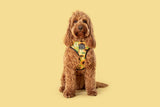 Big and Little Dogs Reversible Harness Sunny Vibes - Premium hondentuig > honden harnas from Big and Little Dogs - Just €27.99! Shop now at Frenkiezdogshop