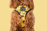 Big and Little Dogs Reversible Harness Sunny Vibes - Premium hondentuig > honden harnas from Big and Little Dogs - Just €27.99! Shop now at Frenkiezdogshop