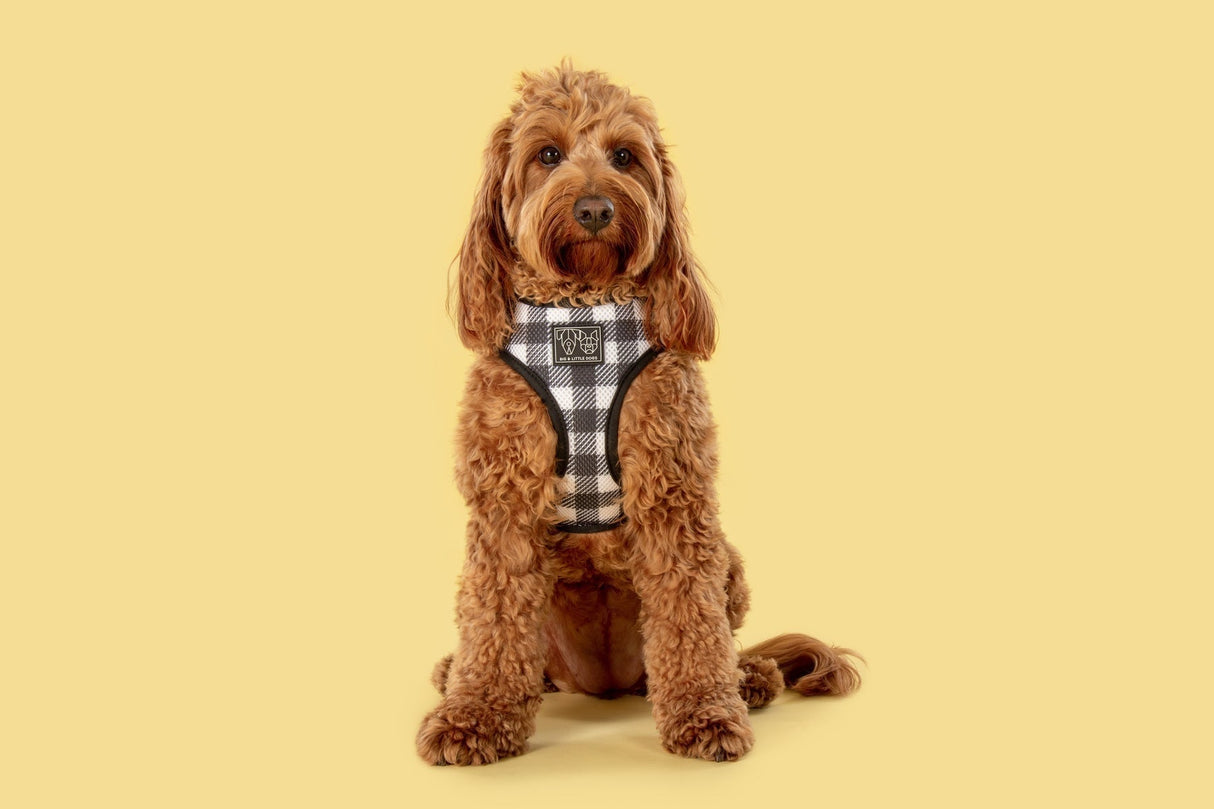 Big and Little Dogs Reversible Harness Sunny Vibes - Premium hondentuig > honden harnas from Big and Little Dogs - Just €27.99! Shop now at Frenkiezdogshop