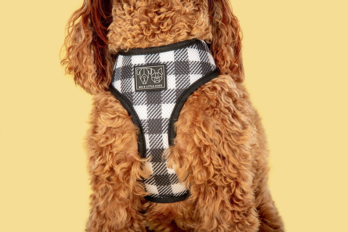 Big and Little Dogs Reversible Harness Sunny Vibes - Premium hondentuig > honden harnas from Big and Little Dogs - Just €27.99! Shop now at Frenkiezdogshop