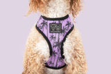 Big and Little Dogs Reversible Harness Toucan do it - Premium hondentuig > honden harnas from Big and Little Dogs - Just €28.99! Shop now at Frenkiezdogshop