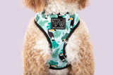 Big and Little Dogs Reversible Harness Toucan do it - Premium hondentuig > honden harnas from Big and Little Dogs - Just €28.99! Shop now at Frenkiezdogshop