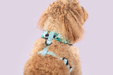 Big and Little Dogs Reversible Harness Toucan do it - Premium hondentuig > honden harnas from Big and Little Dogs - Just €28.99! Shop now at Frenkiezdogshop