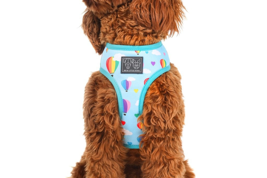 Big and Little Dogs Reversible Up, Up and Away - Premium hondentuig > honden harnas from Big and Little Dogs - Just €27.99! Shop now at Frenkiezdogshop