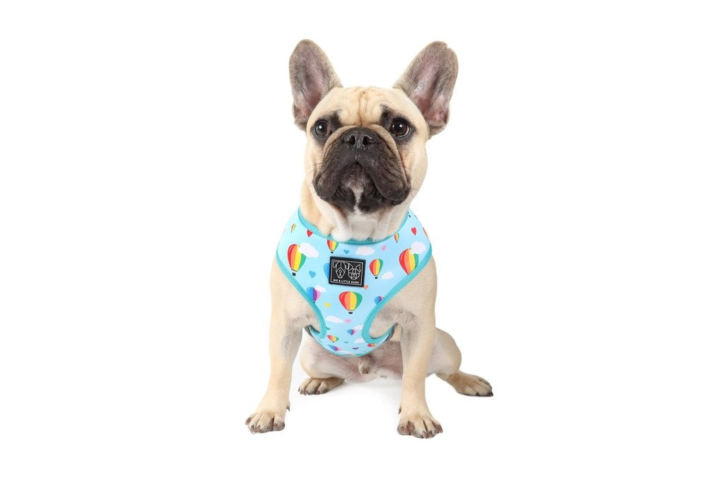 Big and Little Dogs Reversible Up, Up and Away - Premium hondentuig > honden harnas from Big and Little Dogs - Just €27.99! Shop now at Frenkiezdogshop