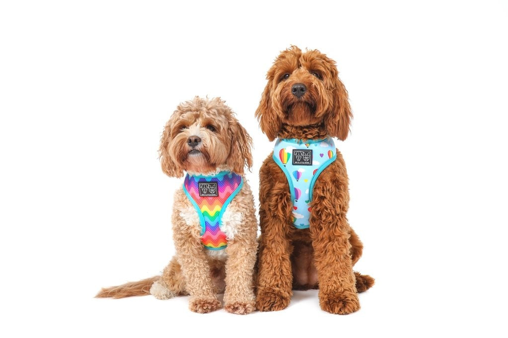 Big and Little Dogs Reversible Up, Up and Away - Premium hondentuig > honden harnas from Big and Little Dogs - Just €27.99! Shop now at Frenkiezdogshop