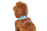 Big and Little Dogs Reversible Up, Up and Away - Premium hondentuig > honden harnas from Big and Little Dogs - Just €27.99! Shop now at Frenkiezdogshop