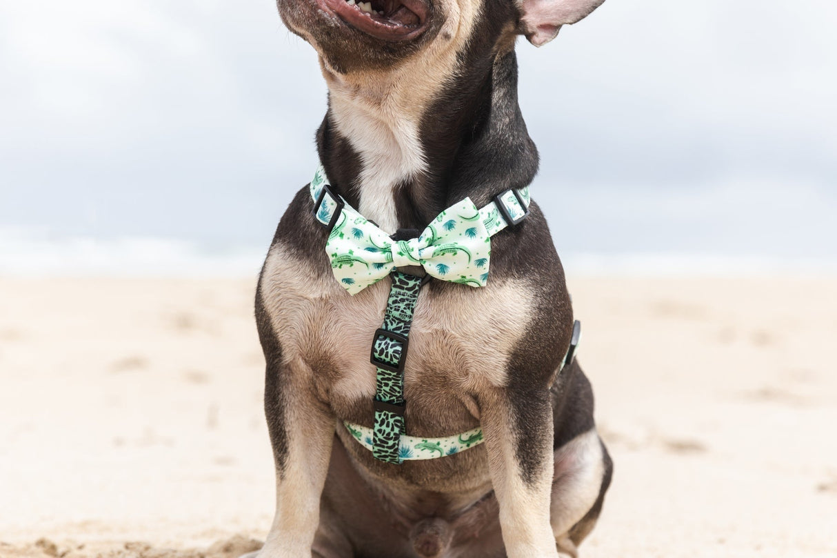 Big and Little Dogs Strap Harness Crikey Croc - Premium hondentuig > honden harnas from Big and Little Dogs - Just €19.99! Shop now at Frenkiezdogshop