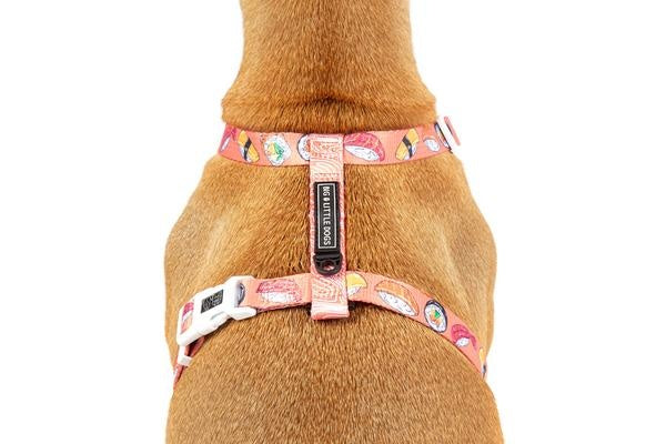 Big and Little Dogs Strap Harness Sashimi - Premium hondentuig > honden harnas from Big and Little Dogs - Just €19.99! Shop now at Frenkiezdogshop