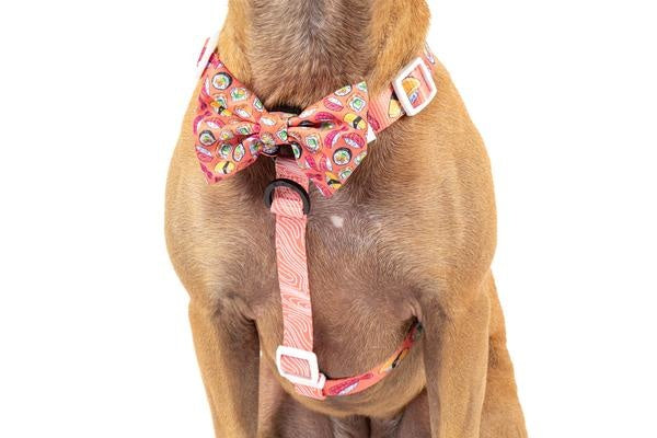 Big and Little Dogs Strap Harness Sashimi - Premium hondentuig > honden harnas from Big and Little Dogs - Just €19.99! Shop now at Frenkiezdogshop