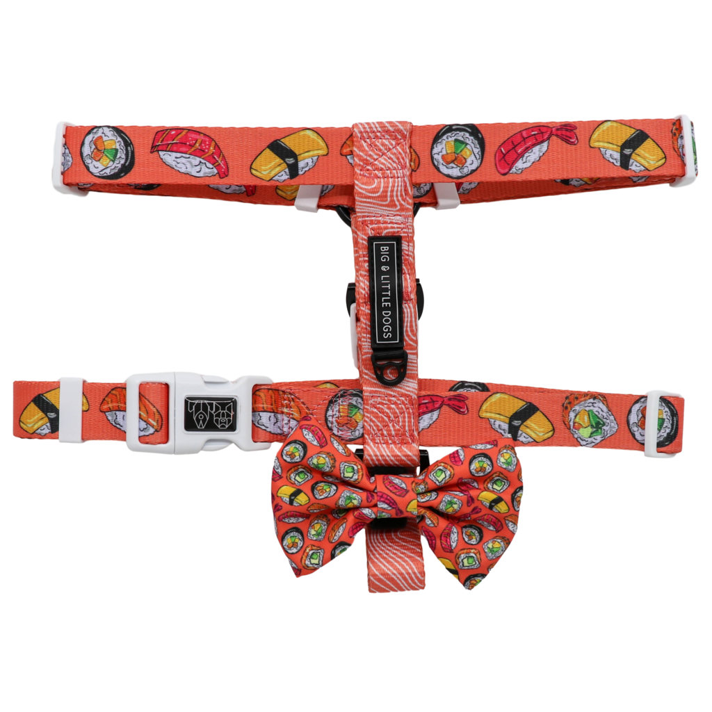 Big and Little Dogs Strap Harness Sashimi - Premium hondentuig > honden harnas from Big and Little Dogs - Just €19.99! Shop now at Frenkiezdogshop