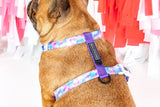 Big and Little Dogs Strap Harness Tie Dye For - Premium hondentuig > honden harnas from Big and Little Dogs - Just €19.99! Shop now at Frenkiezdogshop