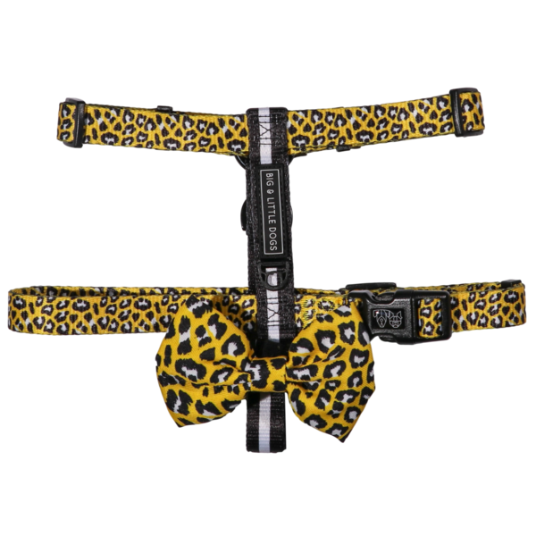 Big and Little Dogs Strap Harness Wild Thing - Premium hondentuig > honden harnas from Big and Little Dogs - Just €19.99! Shop now at Frenkiezdogshop