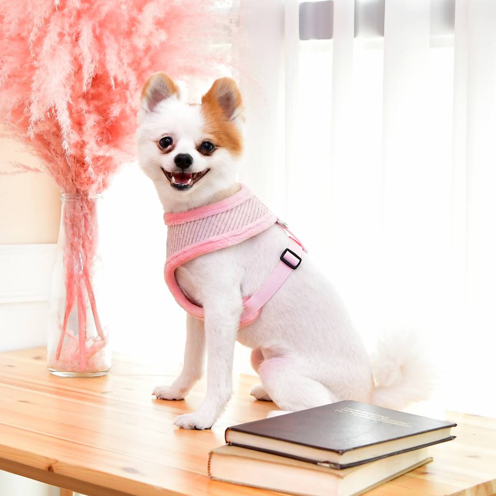 Pinkaholic Zuri Harness lt pink - Premium hondentuig > honden harnas from Pinkaholic - Just €23.99! Shop now at Frenkiezdogshop