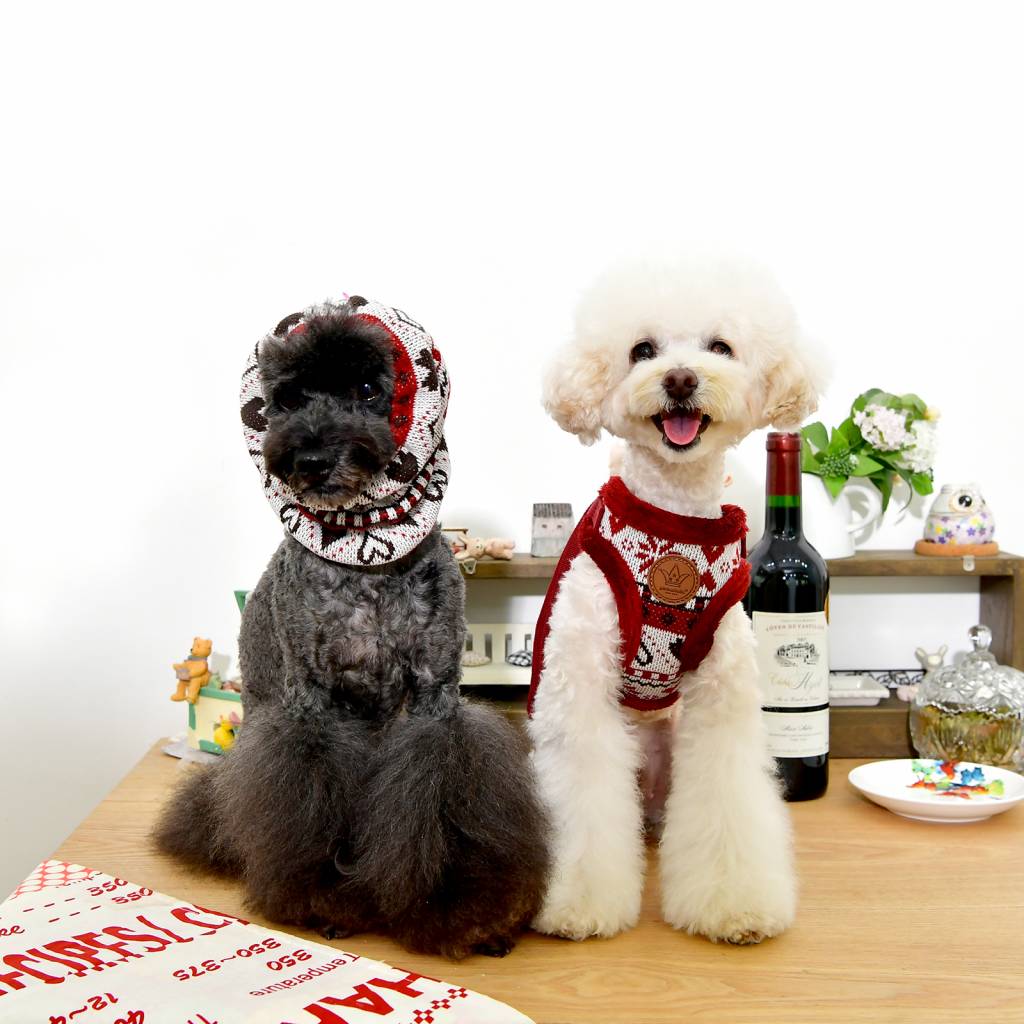 Pinkaholic Joy Harness wine model C - Premium hondentuig > honden harnas from Pinkaholic - Just €27.99! Shop now at Frenkiezdogshop