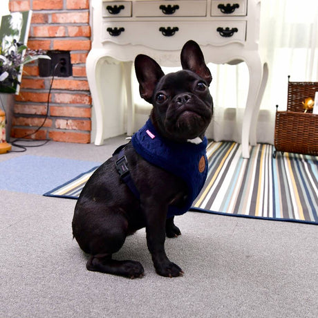 Pinkaholic Polina Harness navy hondentuig > honden harnas > model A Small