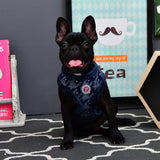 Pinkaholic Mirabelle Harness navy - Premium hondentuig > honden harnas from Pinkaholic - Just €25.99! Shop now at Frenkiezdogshop