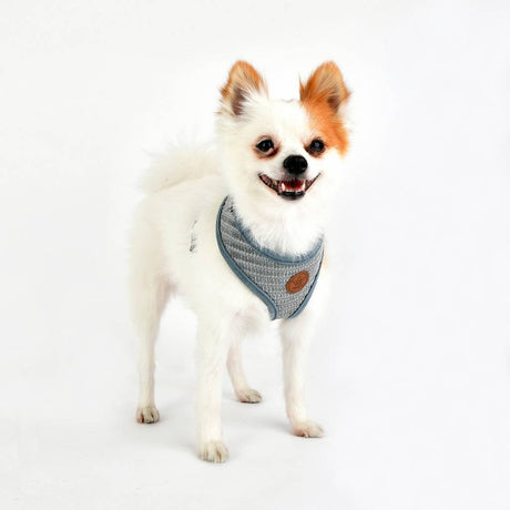 Pinkaholic Elicia Harness grey hondentuig > honden harnas > model A Small