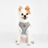 Pinkaholic Elicia Harness grey - Premium hondentuig > honden harnas from Pinkaholic - Just €28.99! Shop now at Frenkiezdogshop