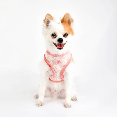 Pinkaholic Mirabelle Harness indian pink hondentuig > honden harnas > model A Small