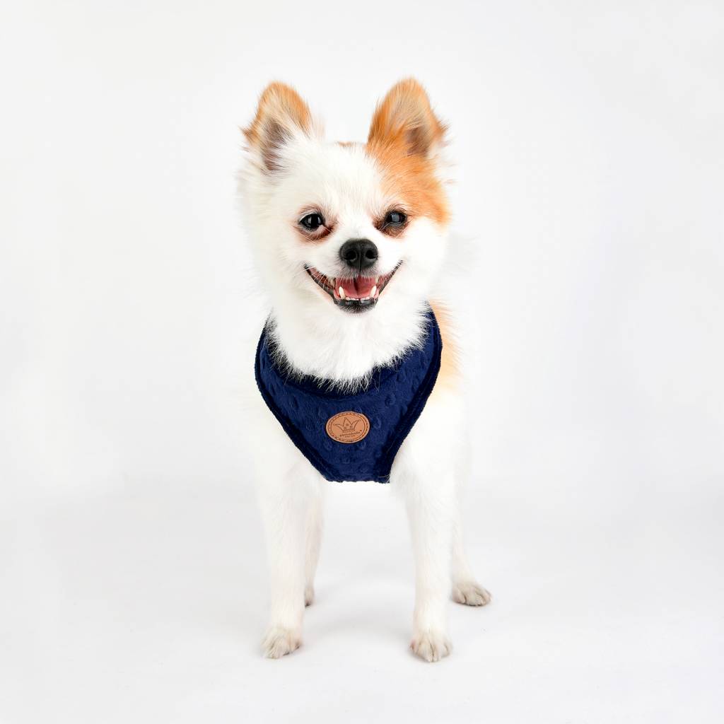 Pinkaholic Polina Harness navy - Premium hondentuig > honden harnas from Pinkaholic - Just €25.99! Shop now at Frenkiezdogshop