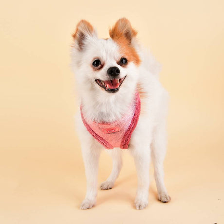 Puppia Evon Harness model A pink hondentuig > honden harnas > model A Small