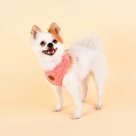 Pinkaholic Polina Harness hot pink hondentuig > honden harnas > model A Small