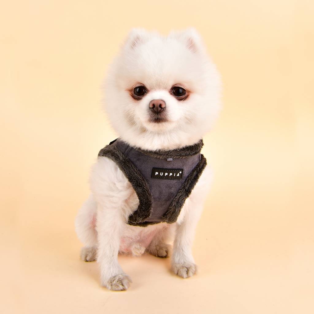 Puppia Terry Vest Harness model B grey - Premium hondentuig > honden harnas from Puppia - Just €30.99! Shop now at Frenkiezdogshop