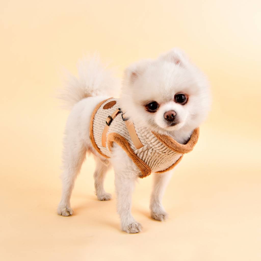 Pinkaholic Zuri Harness V beige ( small ) - Premium hondentuig > honden harnas from Pinkaholic - Just €29.99! Shop now at Frenkiezdogshop