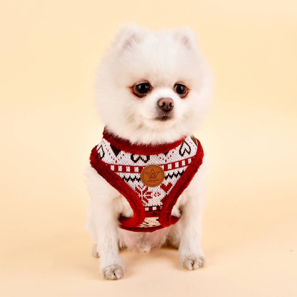 Pinkaholic Joy Harness wine ( small ) - Premium hondentuig > honden harnas from Pinkaholic - Just €24.99! Shop now at Frenkiezdogshop