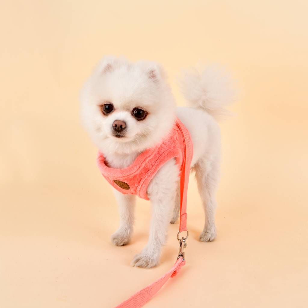 Pinkaholic Polina Harness Q hot pink - Premium hondentuig > honden harnas from Pinkaholic - Just €25.99! Shop now at Frenkiezdogshop