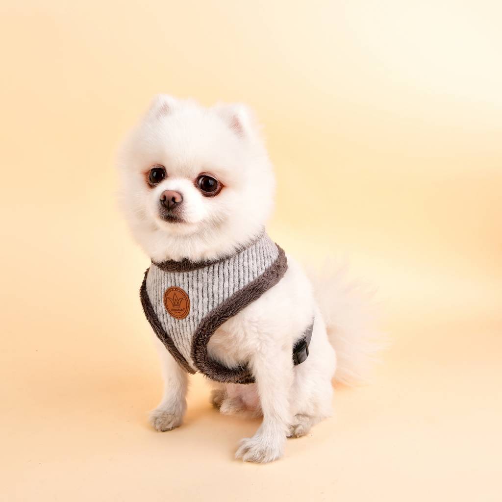 Pinkaholic Zuri Harness grey ( small ) - Premium hondentuig > honden harnas from Pinkaholic - Just €23.99! Shop now at Frenkiezdogshop