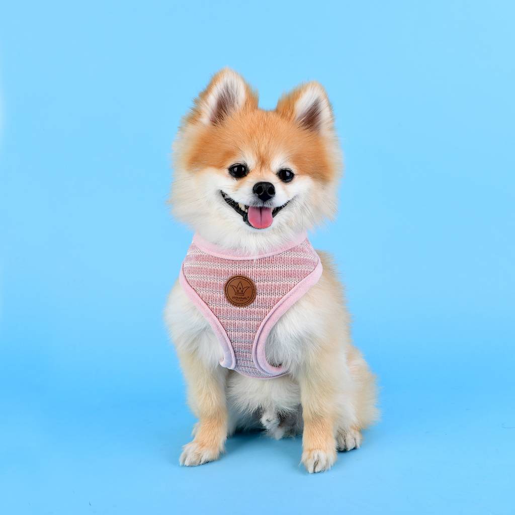 Pinkaholic Elicia Harness indian pink - Premium hondentuig > honden harnas from Pinkaholic - Just €28.99! Shop now at Frenkiezdogshop