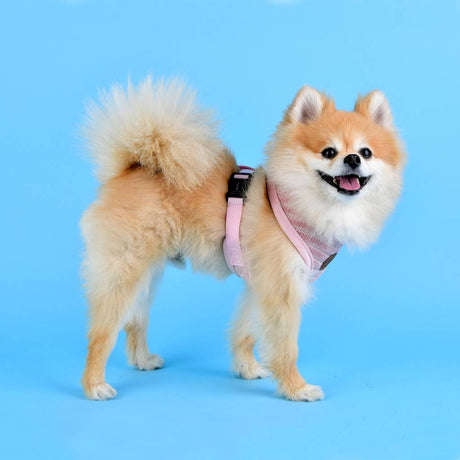 Pinkaholic Elicia Harness indian pink hondentuig > honden harnas > model A Small