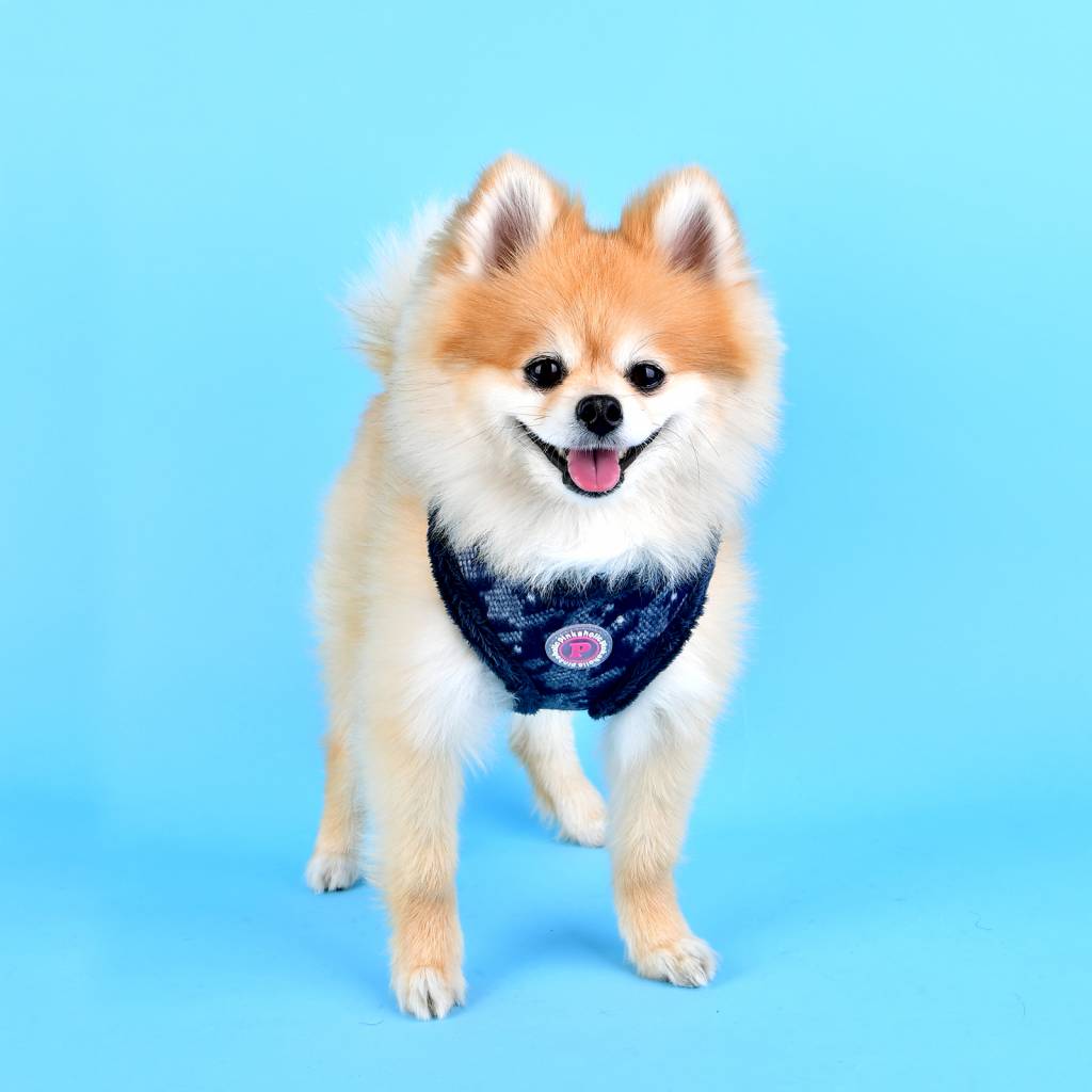 Pinkaholic Mirabelle Harness navy - Premium hondentuig > honden harnas from Pinkaholic - Just €25.99! Shop now at Frenkiezdogshop