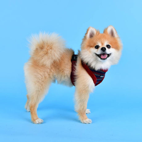 Puppia Elliot Harness model A wine hondentuig > honden harnas > model A Small