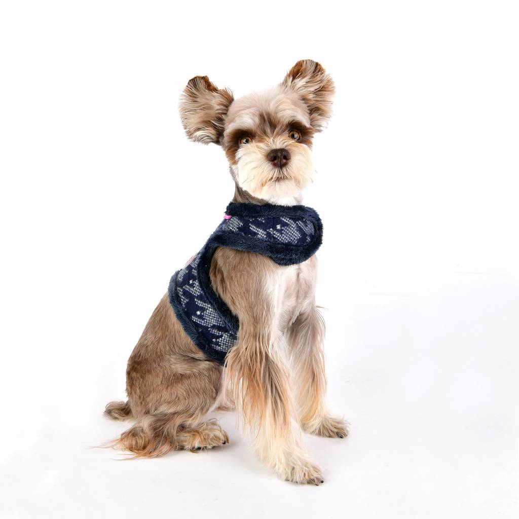 Pinkaholic Mirabelle Harness Pinka navy - Premium hondentuig > honden harnas from Pinkaholic - Just €27.99! Shop now at Frenkiezdogshop