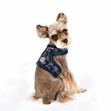 Pinkaholic Mirabelle Harness Pinka navy - Premium hondentuig > honden harnas from Pinkaholic - Just €27.99! Shop now at Frenkiezdogshop