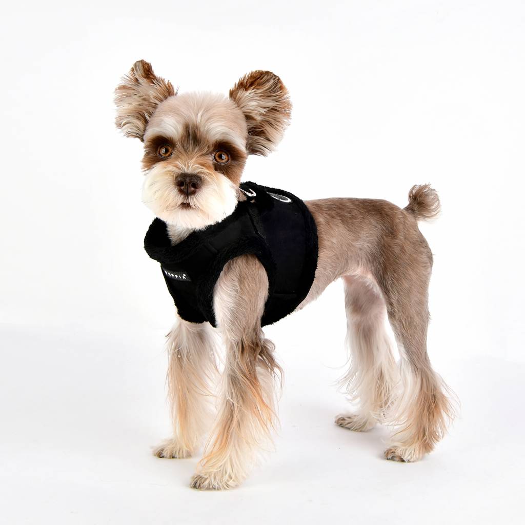 Puppia Terry Vest Harness model B black - Premium hondentuig > honden harnas from Puppia - Just €30.99! Shop now at Frenkiezdogshop