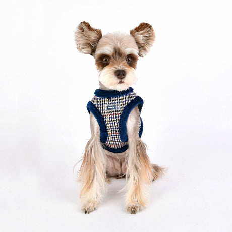 Puppia Auden Harness model B blue ( S ) hondentuig > honden harnas > model B Small