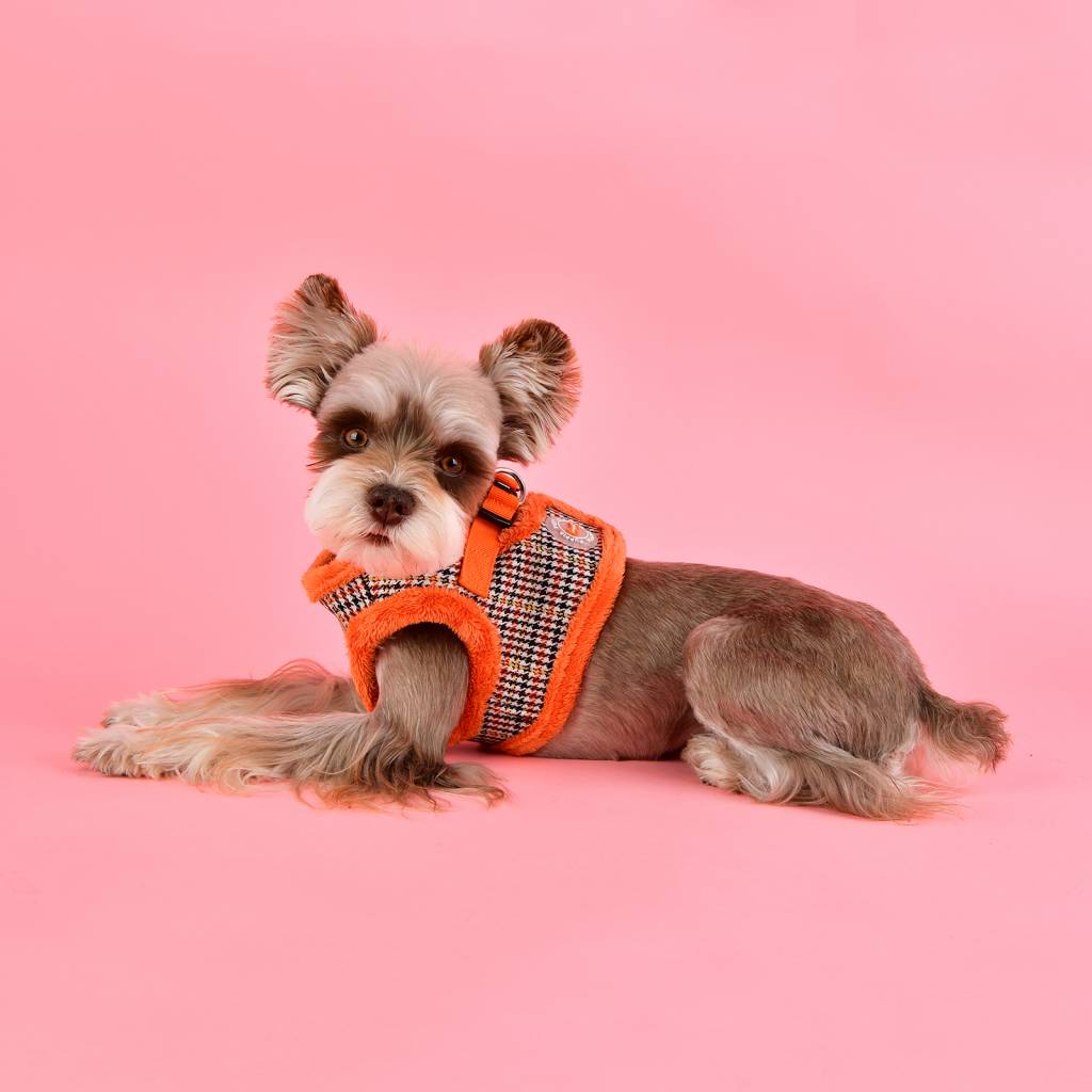 Puppia Auden Vest Harness model B orange ( SMALL ) - Premium hondentuig > honden harnas from Puppia - Just €27.99! Shop now at Frenkiezdogshop