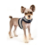 Pinkaholic Neige Pinka Harness Navy - Premium hondentuig > honden harnas from Pinkaholic - Just €29.99! Shop now at Frenkiezdogshop