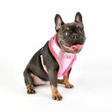 Puppia Evon Harness model A pink - Premium hondentuig > honden harnas from Puppia - Just €25.99! Shop now at Frenkiezdogshop