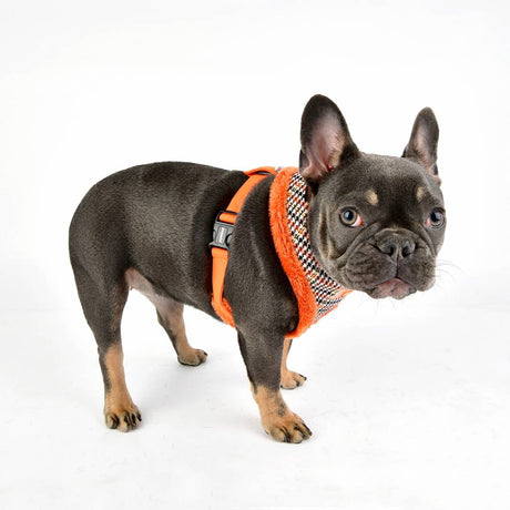 Puppia Auden Harness model A orange ( XL ) hondentuig > honden harnas > model A Small
